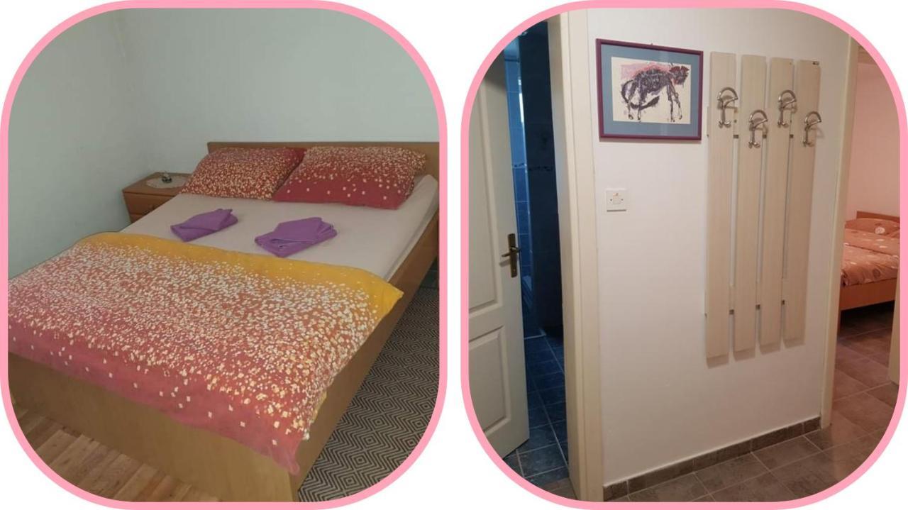 Apartmani Apolon Vrdnik Exterior photo